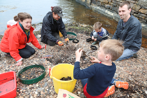 Whit’s on this weekend?