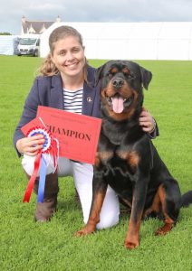 Denali named top dog for second year running