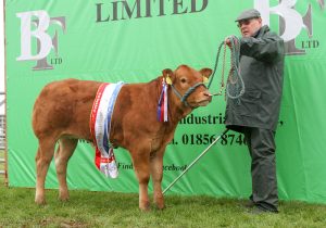 Dounby Show day is here!