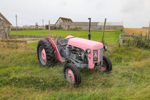 ‘Wee Pink Fergie’ makes homecoming trip to Orkney