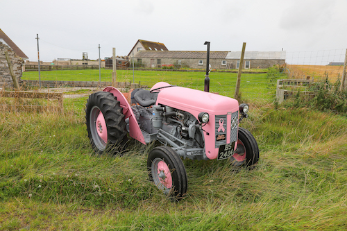 ‘Wee Pink Fergie’ makes homecoming trip to Orkney