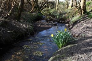 Happy Valley path works to begin tomorrow