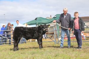 Garth calf clinches ‘Hope showyard title