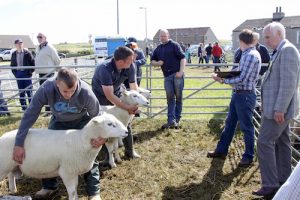It’s all go at the ‘Hope Show