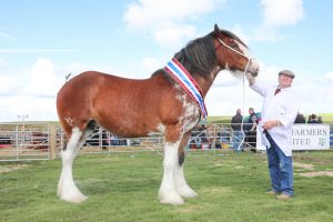Downhill Snowflake crowned East Mainland