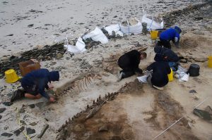 Amazing finds at Cata Sand