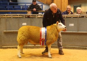 Skelbister ram lamb claims OSBA trophy