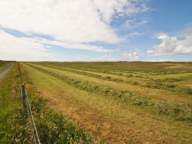Farm diversification fund available in Orkney The Orcadian Online Farm diversification fund available in Orkney The Orcadian Online