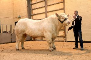 Keen demand seen at OBBA show and sale of bulls