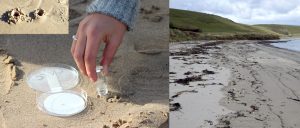 Scapa Flow microplastic levels match industrial UK waters