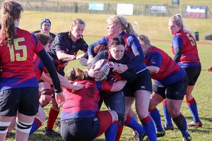 Rugby teams settle for a share of the spoils