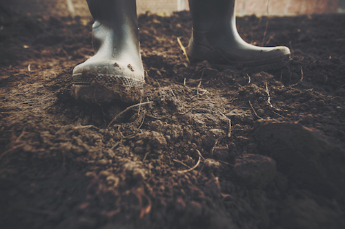 Local farmers invited to free soil event