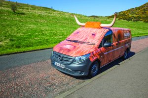 Helping visitors until the cows come home