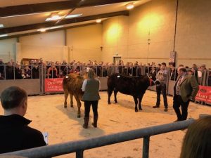 ‘Lilly’ claims Over-Wintering cattle competition crown