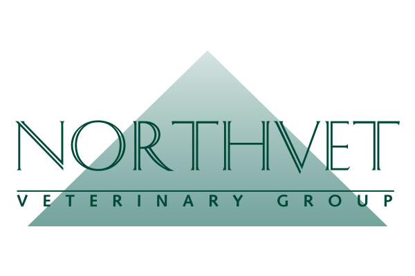 Office Administrator