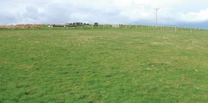 Property of the Week