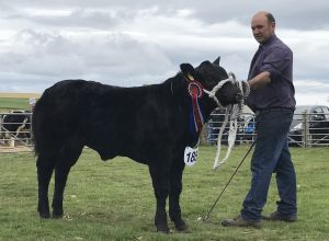East Mainland top honour goes to Sebay