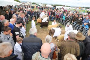 Whit’s on this County Show weekend?