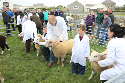 It’s Dounby Show day!