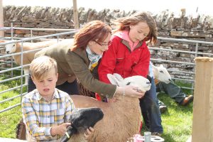 Show season continues in the East Mainland