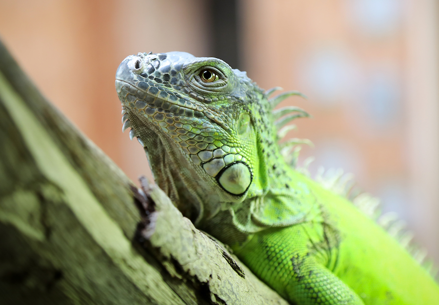 Whit’s on this weekend?