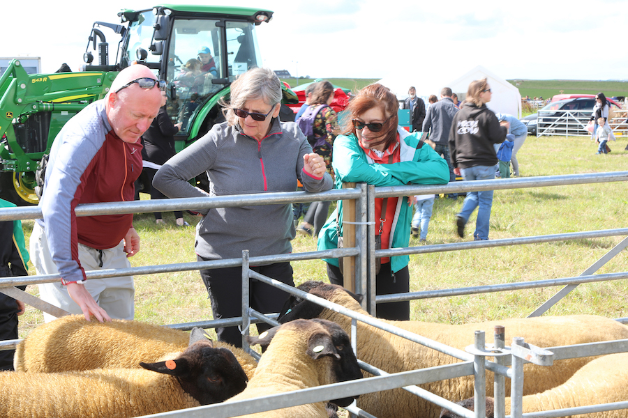It’s all go at the ‘Hope Show