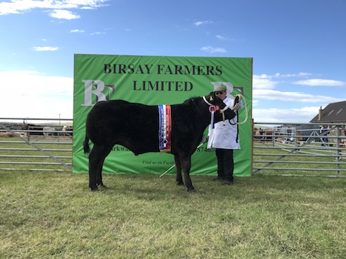 Upper Onston stot claims Dounby cattle title