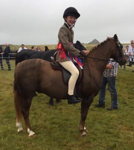 Horse champion named overall winner in Sanday