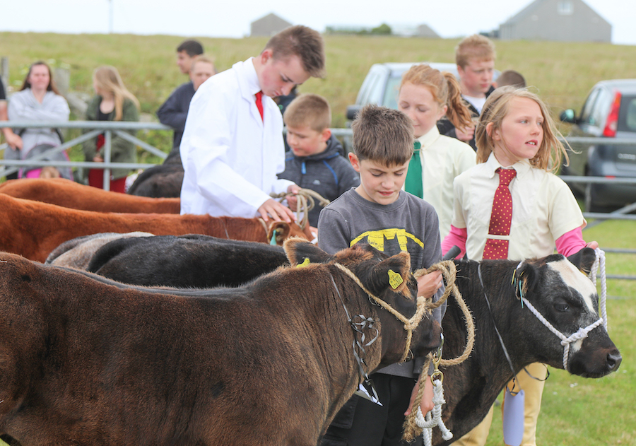 Whit’s on this weekend?