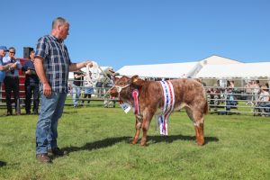All set for the Shapinsay Show
