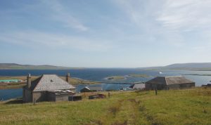 Featured Property of the Week