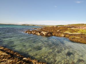 OIC to host consultation on Faray developments