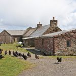 Image-3-Steading-and-chicken-house
