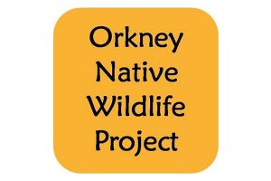 Orkney Native Wildlife Project hosts drop-in events