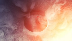 New domestic fire regulations announced