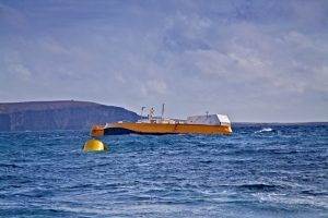 Penguin device goes under