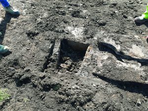 Burial cist discovered in Finstown