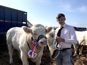 Charolais bull named East Mainland champion
