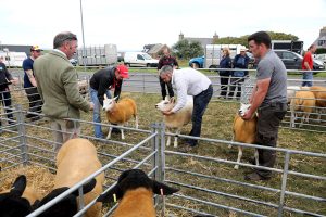 Last ‘Hope for sixth agricultural show