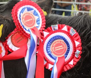 Orkney’s ‘shows week’ kicks off in Sanday