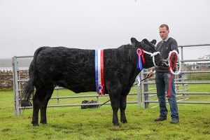 Odinstone heifer triumphs at Shapinsay Show