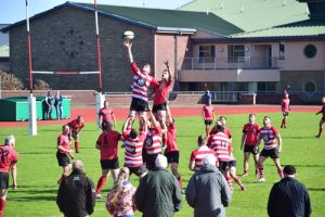 Orkney RFC games off as rugby chiefs suspend play