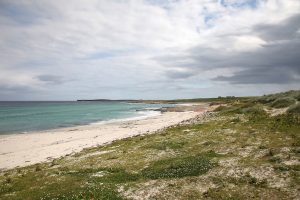 North Isles By-election — candidates share employment hopes