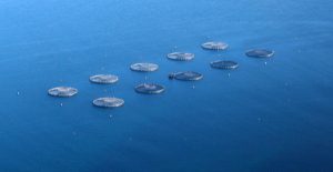 Jobs boost for Stronsay after fish farm proposals get the green light