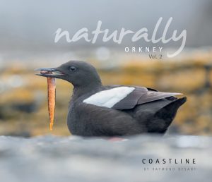 Raymond Besant hosts talk and book-signing