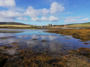 Featured Property of the Week