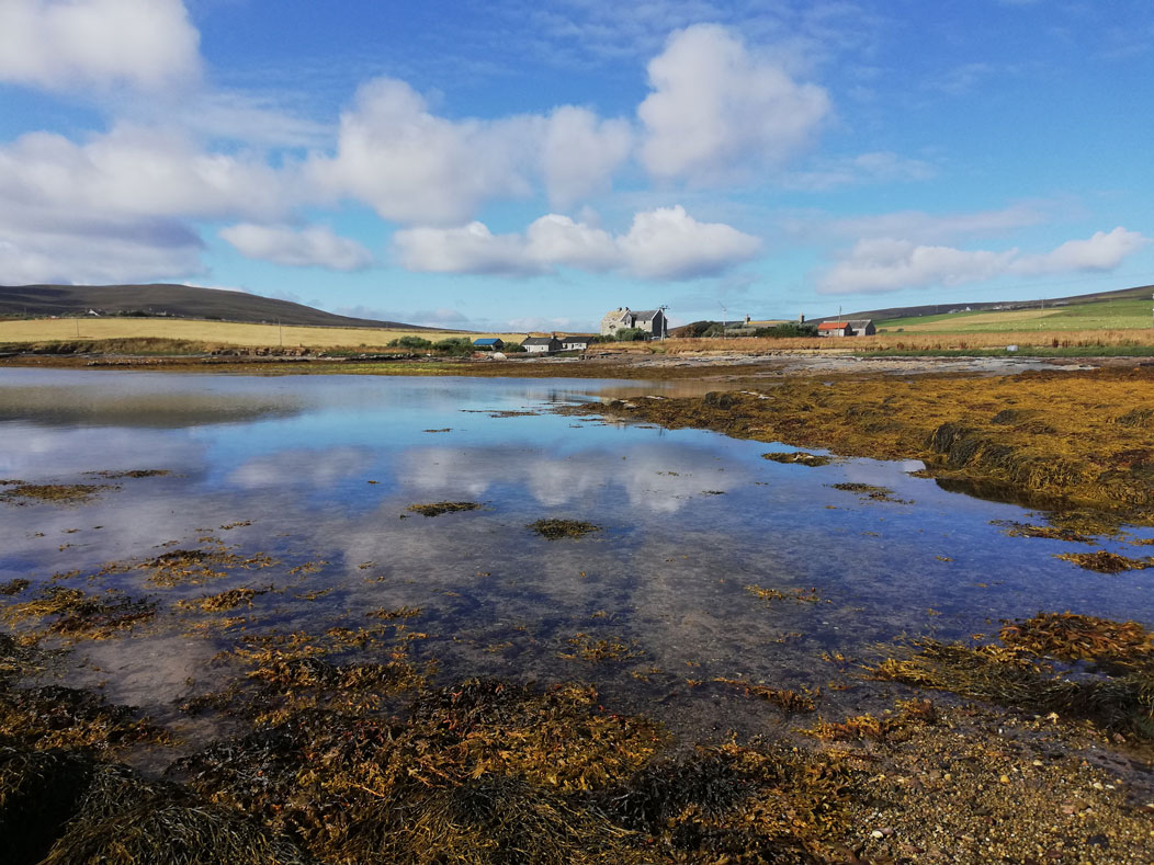 Featured Property of the Week