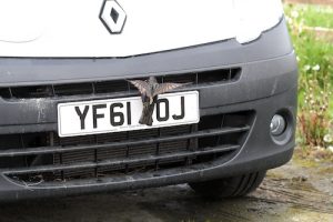 It’s nesting season – a reminder to vehicle owners