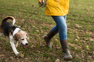 ‘Use countryside access rights responsibly’ urges government
