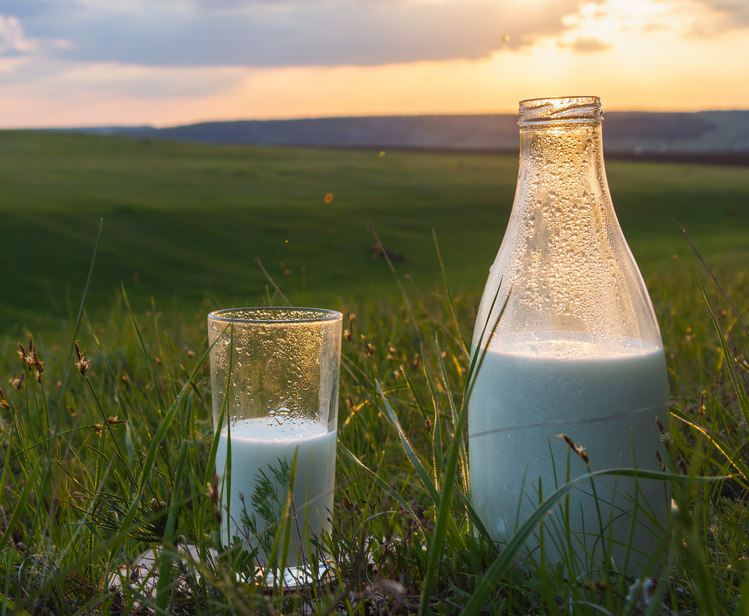 Carmichael: ‘£1M promotional campaign reminder of need to support dairy sector’